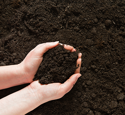 Rich Soil - Your Hosting